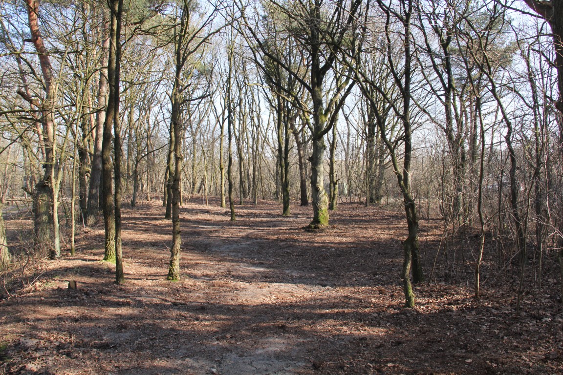 Kampeerveld Jacobs